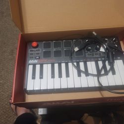 Akai  Professional  MPK mini