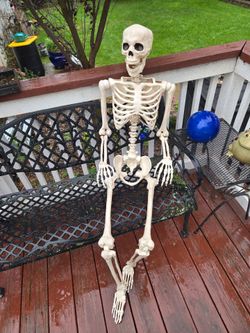 5ft skeleton