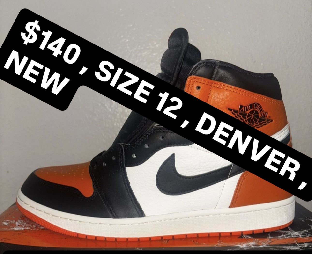 Air Jordan 1 Size 12  shattered Backboard 