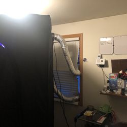 Grow Room 