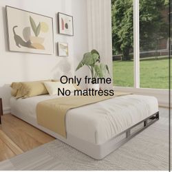 FMDMR BOX SPRING