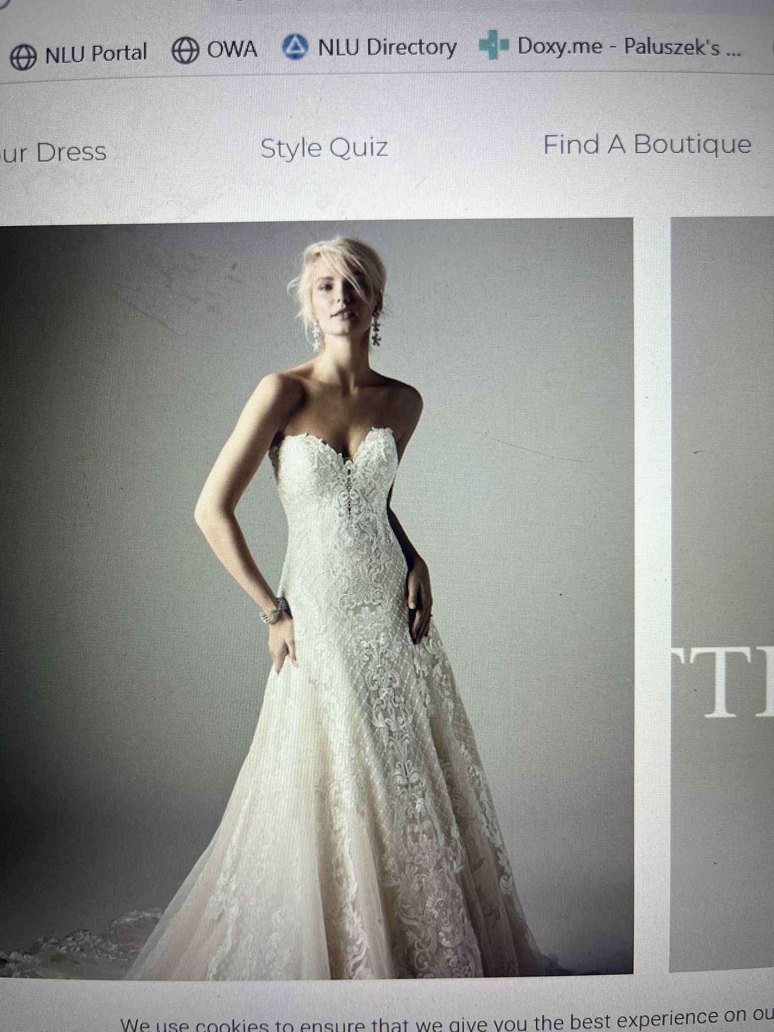 Maggie Sottero Size 20 A-line