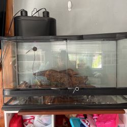 Reptile Tank