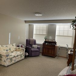 Loveseat  Sleeper