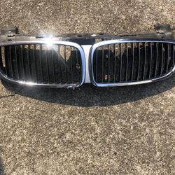 BMW OEM Kidney Grill 2006-2008 750 Li 