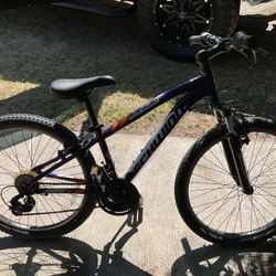 Shwinn Bike 24”