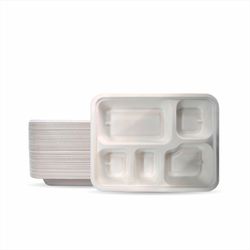 Biodegradable Bagasse Disposable 5 CP Plates / Tray (Pack of 50)