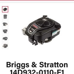 Briggs and Stratton lawnmower engine.