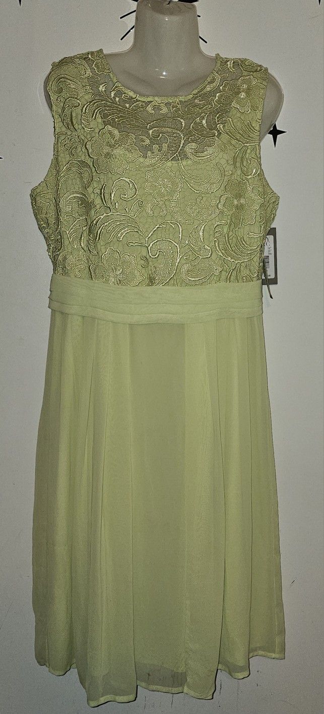 Elegant Green Eva Mendes NY&Co. Woman's Light Green Dress