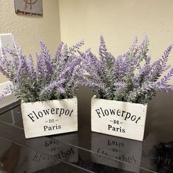 Beautiful Fake French Lavender Plants