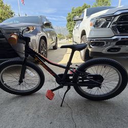 Trek 20inch kids bike