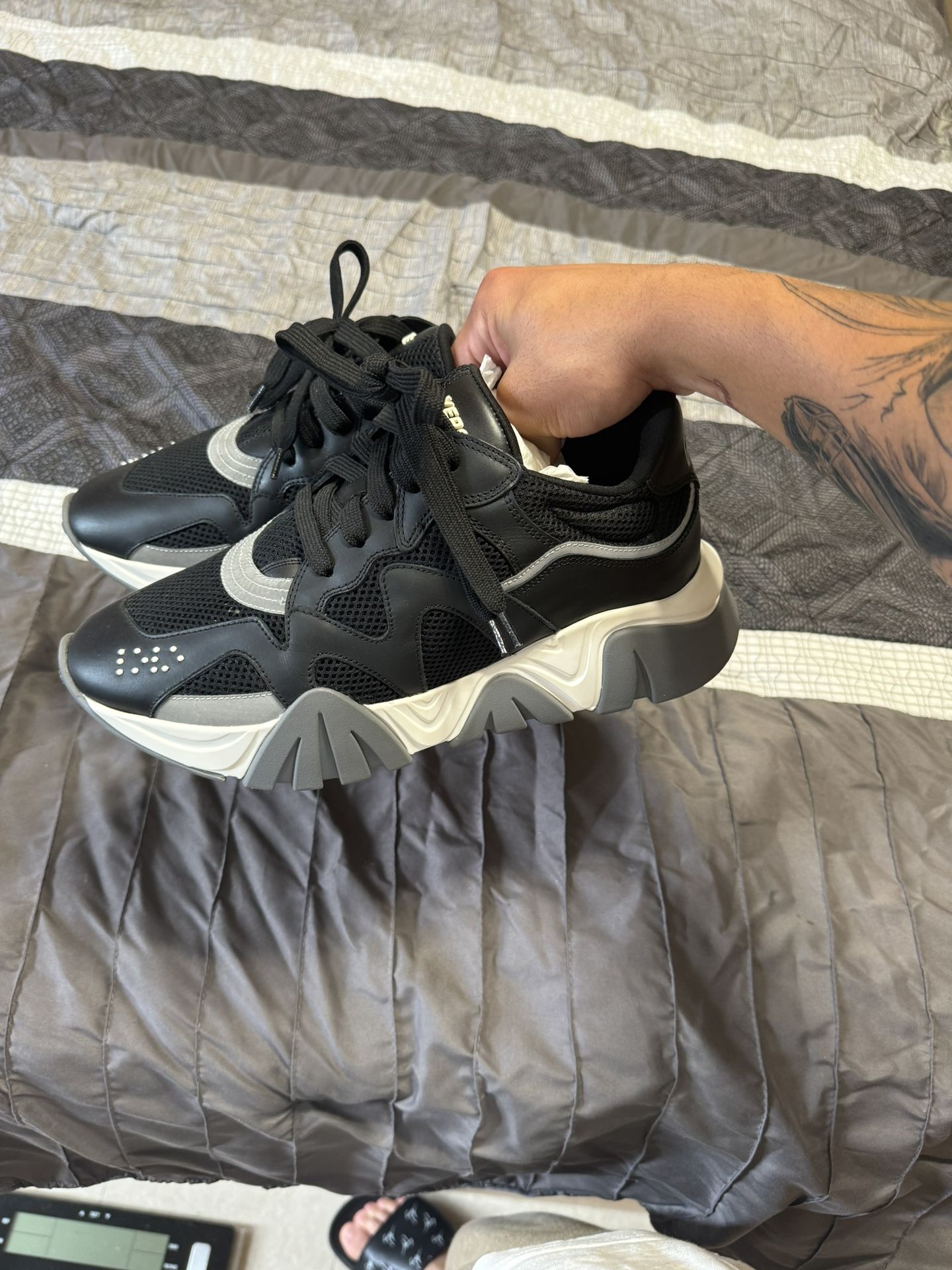 Versace Squalo