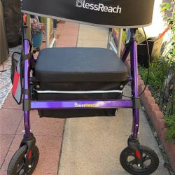 New Purple Walker $75