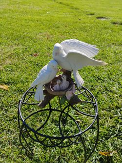 Doves, Figure