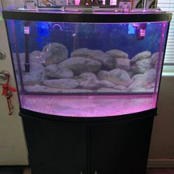 36 Gallon Bow Front Fish Tank 
