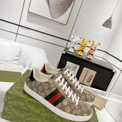 GG Men’s Sneaker With Box New 