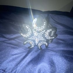 Children of The Sun Belt