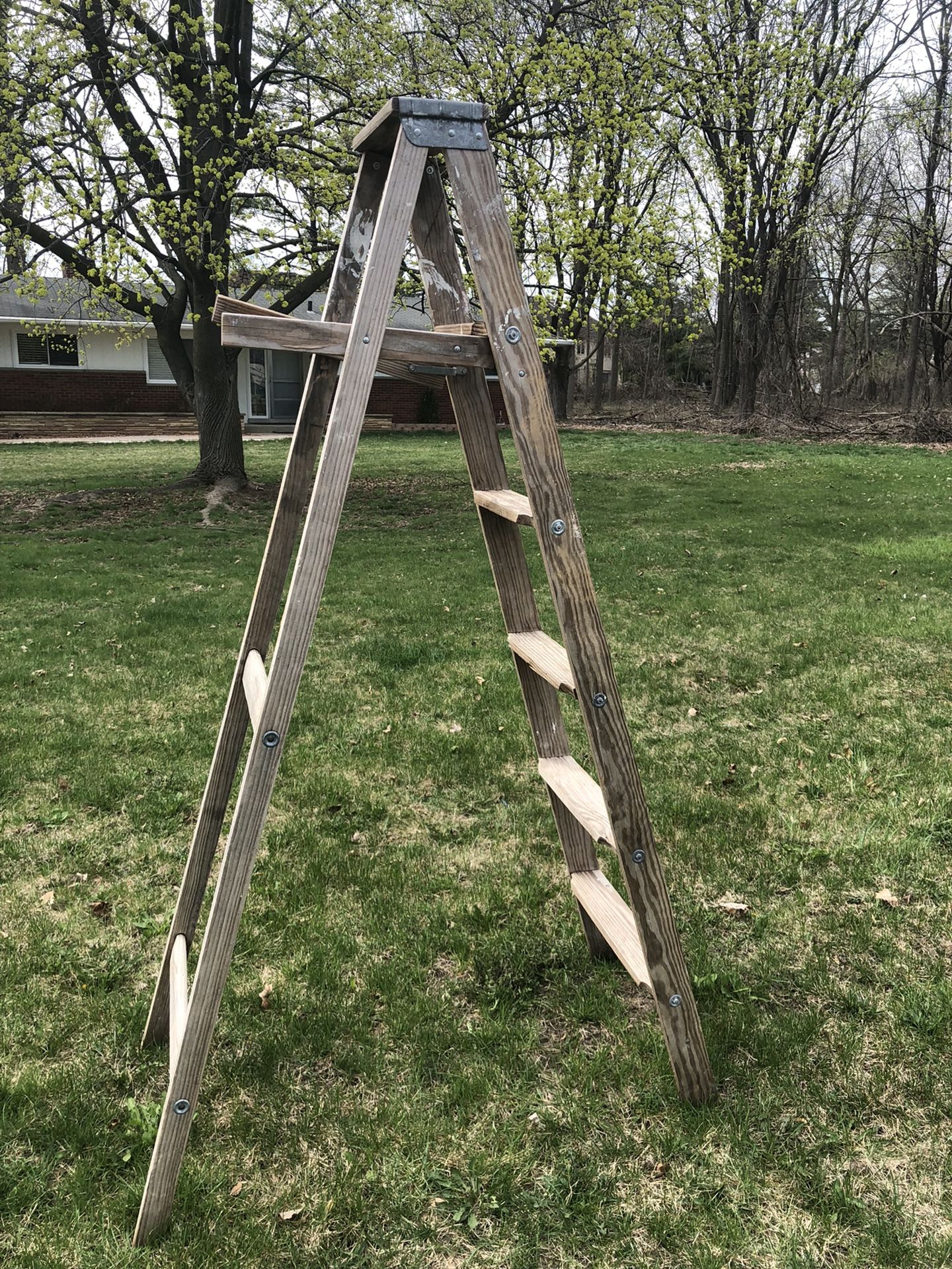Wood Ladder