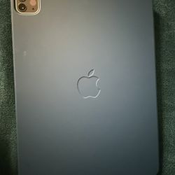 Ipad Pro 