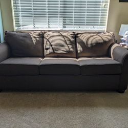 Free Pullout Couch