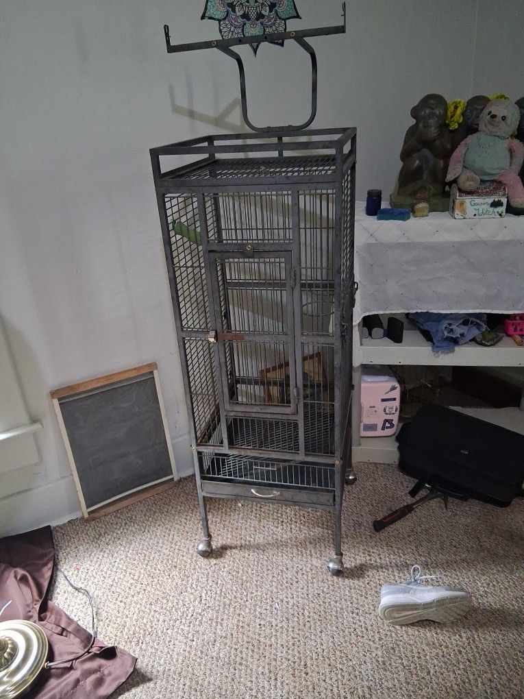 Bird Cage
