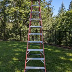 Werner 10' Ladder 