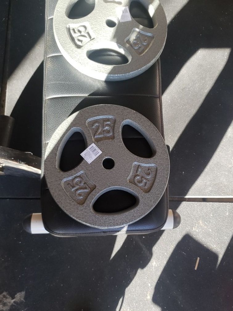25lb Standard Plates ( Pair ) 50 Lb Total.