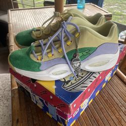 Exotic Allen Iverson Low Running Dog Collab