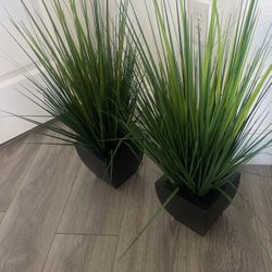 Two Artificial Plants 