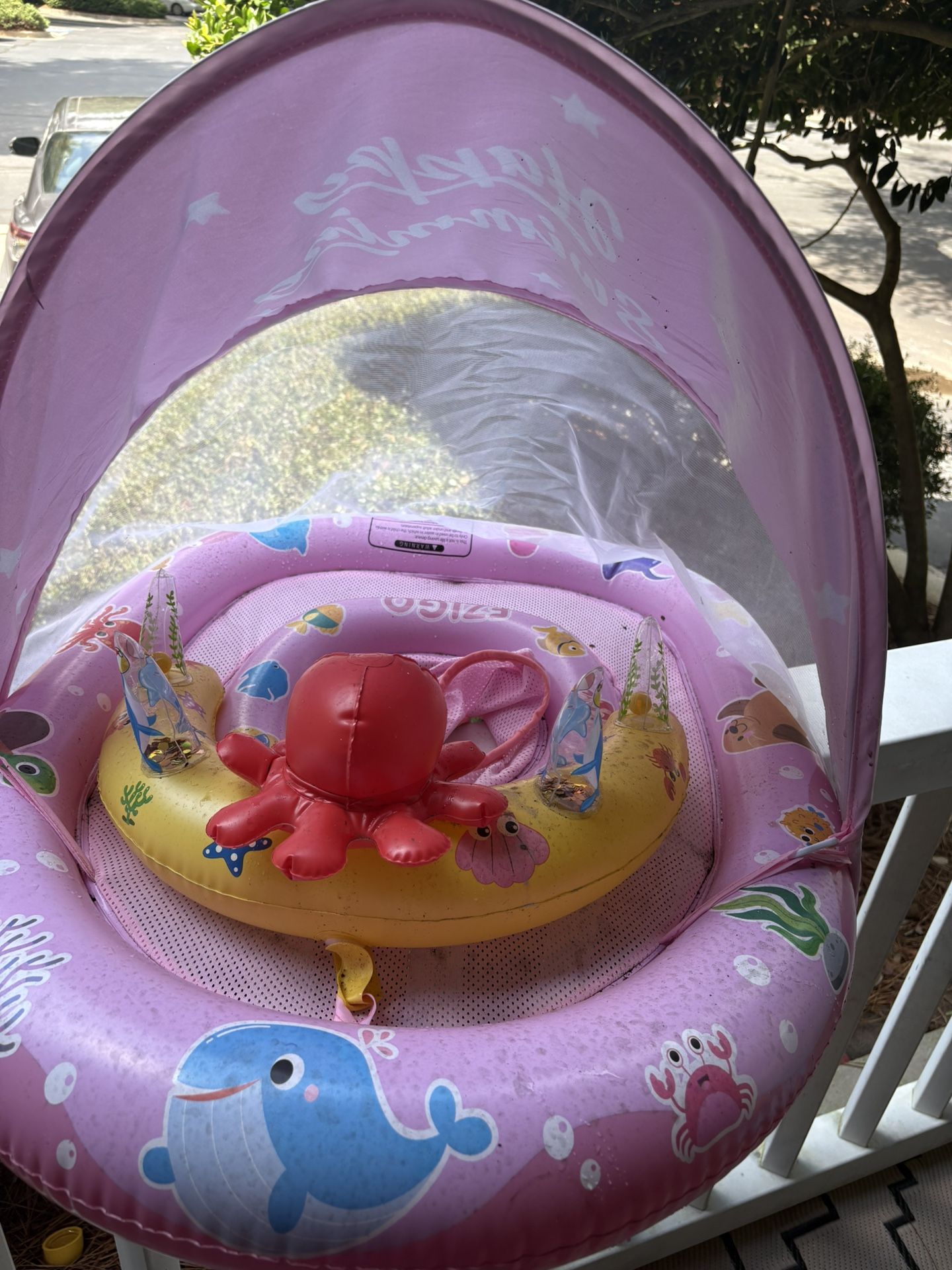Baby Pool Float