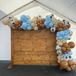 Balloon Garland