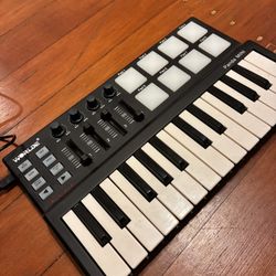 [New] Worlde Panda MIDI Piano P