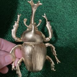 Gold bug