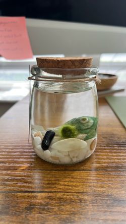 Marimo Moss Ball+Obsidian Crystal mini aquarium