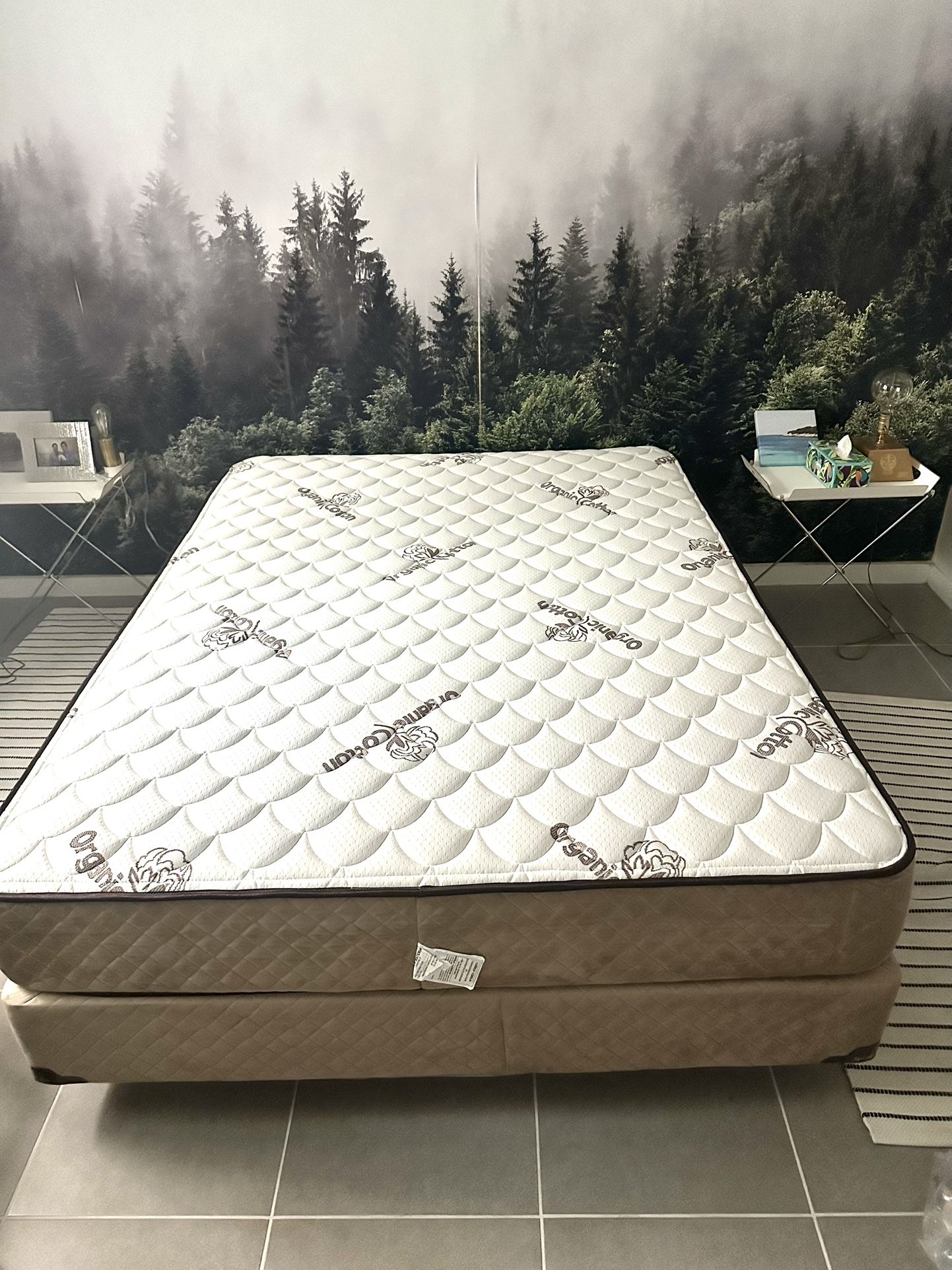 Queen Mattress Box Spring & Metal Frame