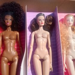 XIAN XIAN PRINCESS ARTICULATED LOOKS MODEL DOLLS