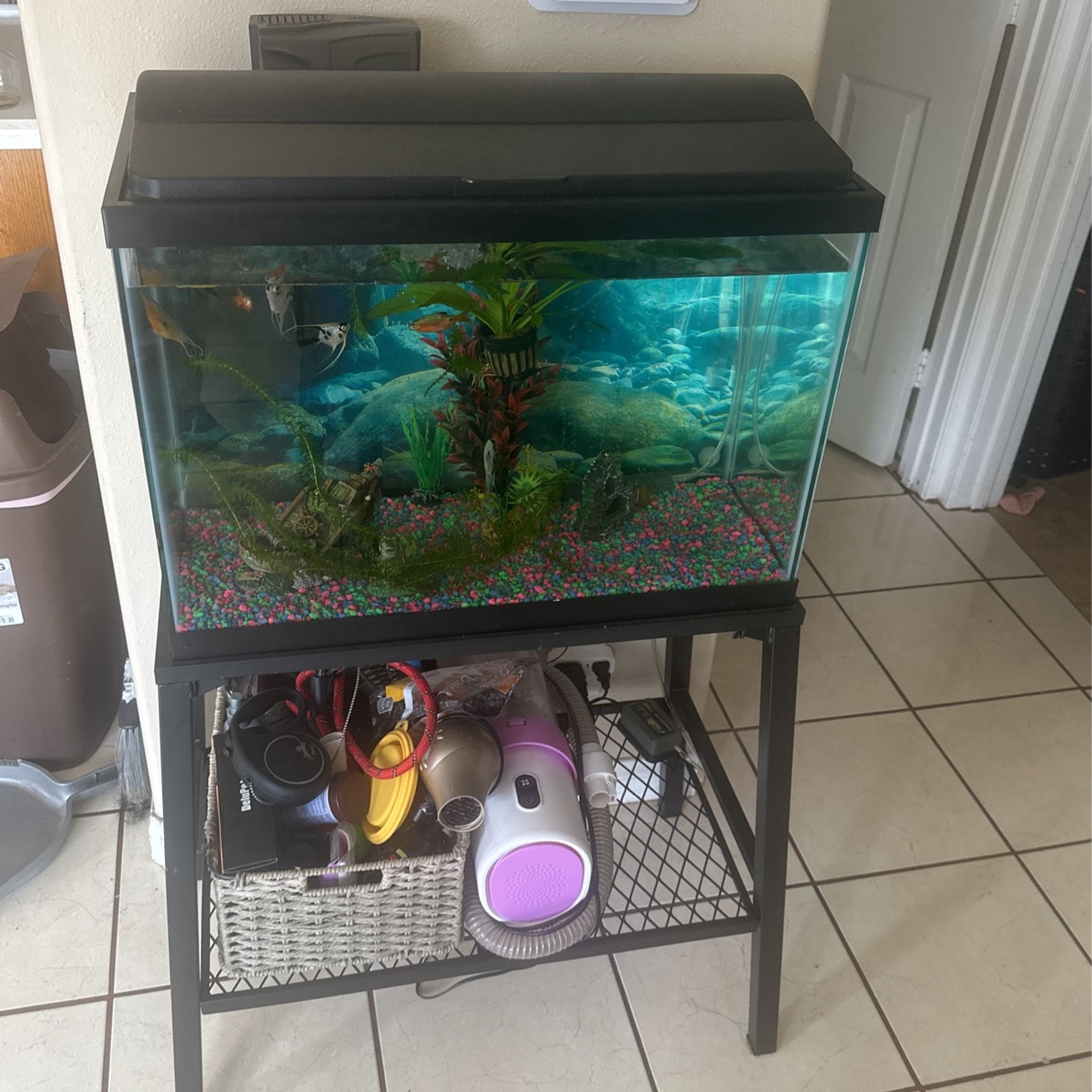 fish tank