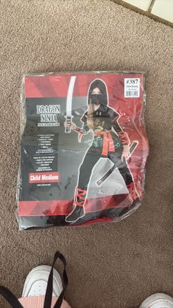 Dragon Ninja  costume