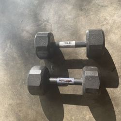 10lb  Weights