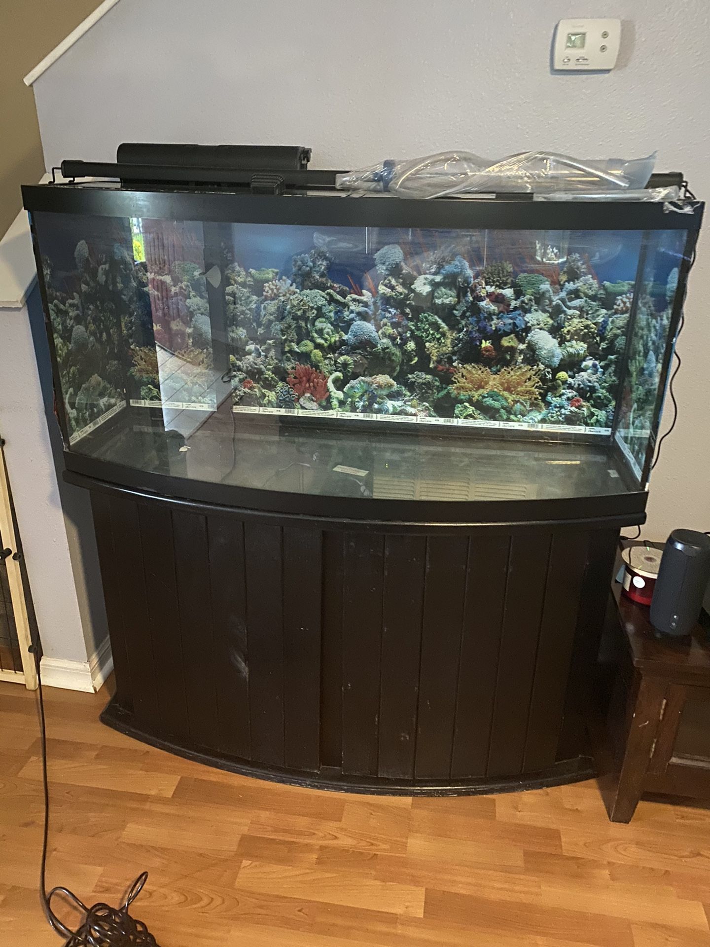 75 Gallons Fish Tank