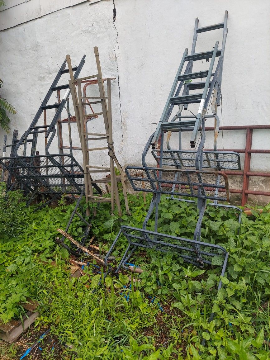 Assorted Ladder Treestands