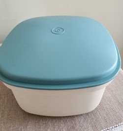 Tupperware Container