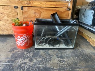 20 gallon Used fish tank
