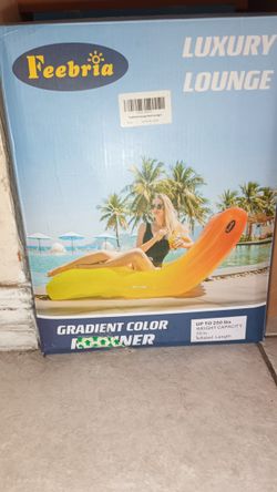 Pool Lounger. $50