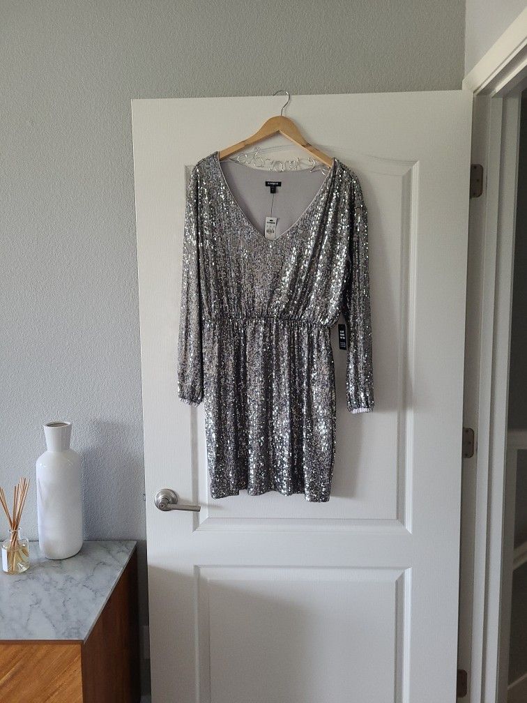 Express Silver Sequin Dress 