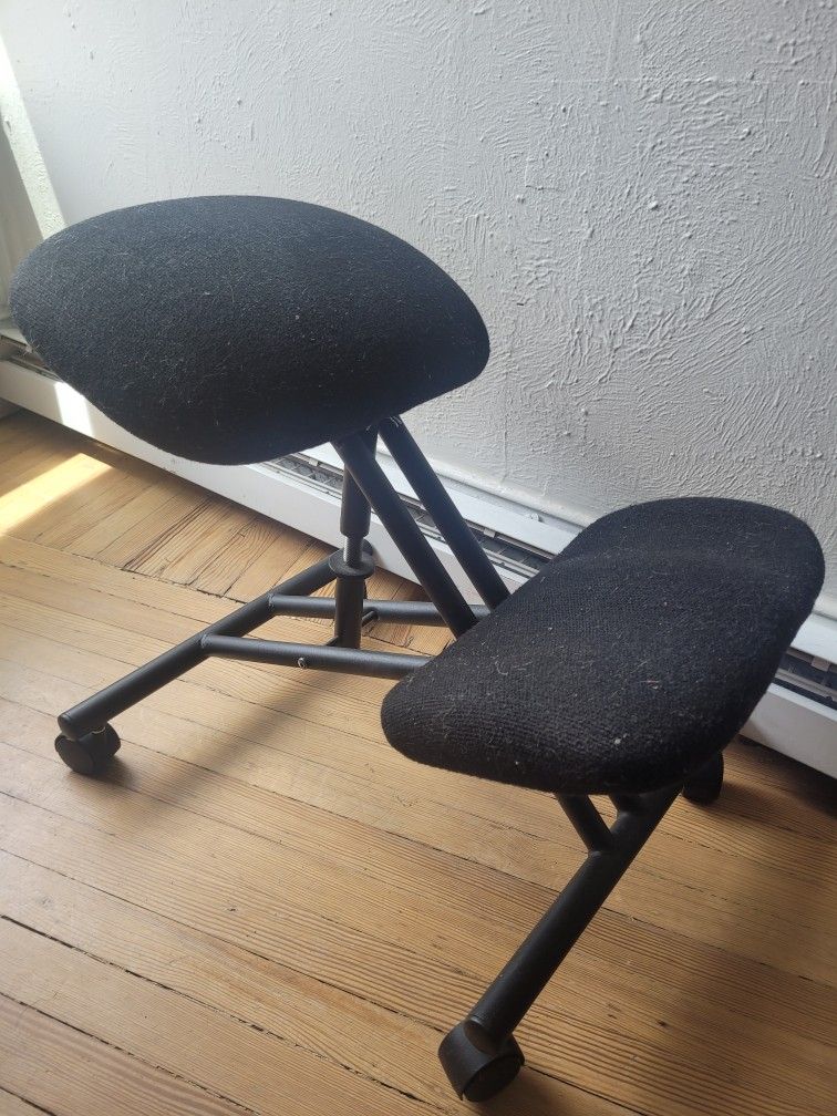 Ergonomic Chair