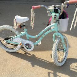 Trek Little Girls Bicycle Training Wheel