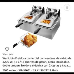 Electric Fryer