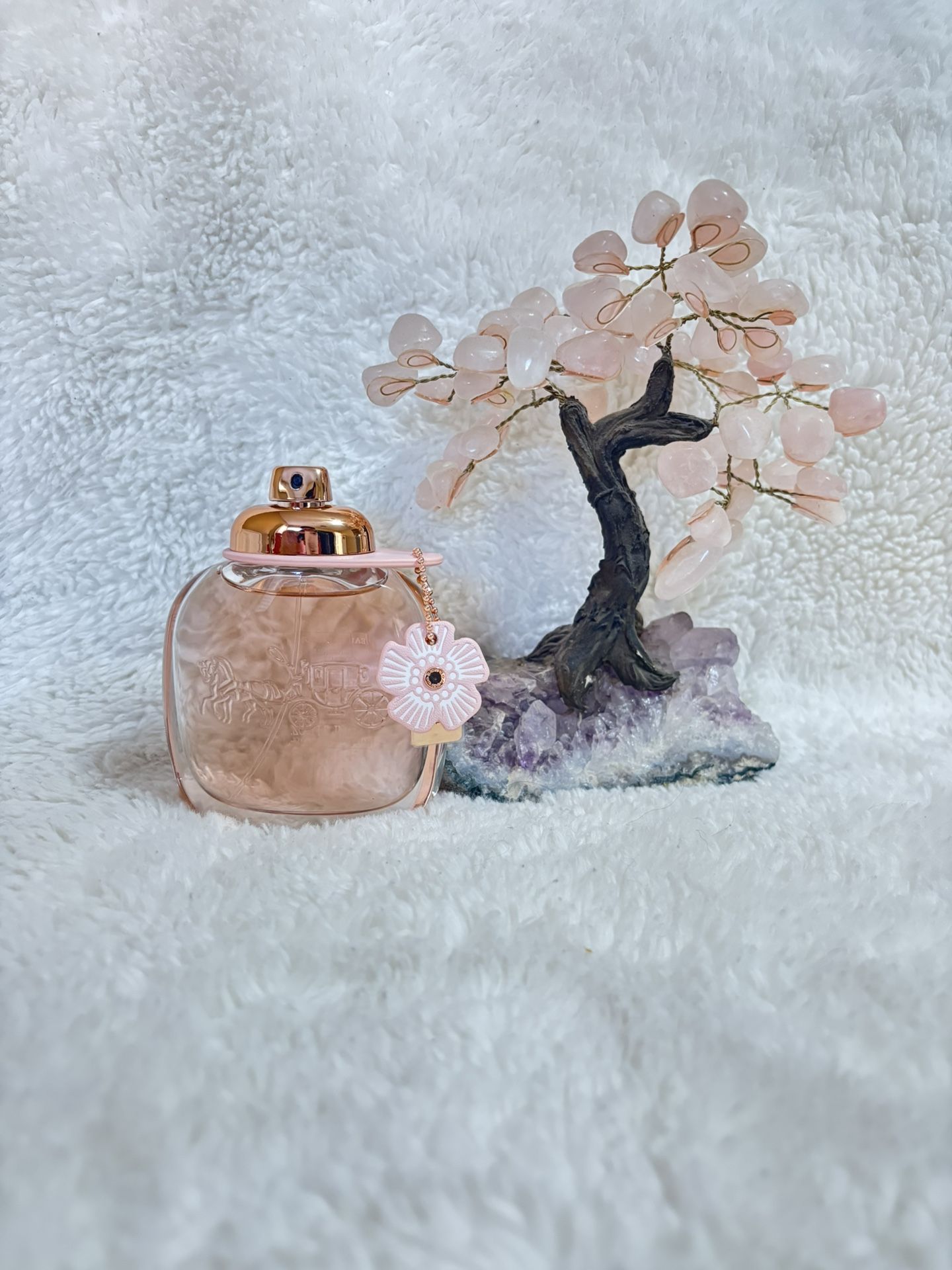 Coach Floral EDP