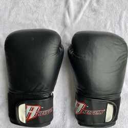 Revgear 12oz Boxing Gloves Martial Arts/MMA 